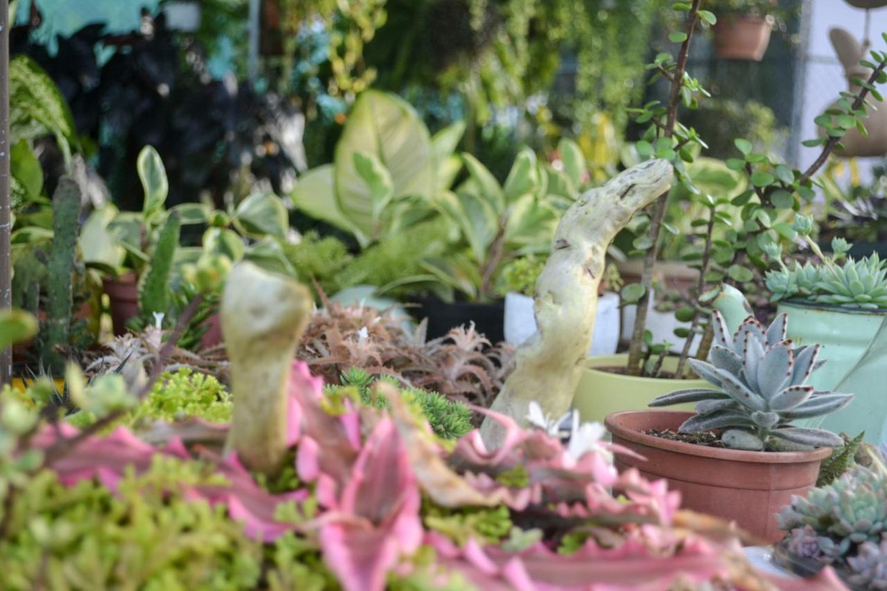 Eco Granja Don Lolo Βίλα Quesada  Εξωτερικό φωτογραφία