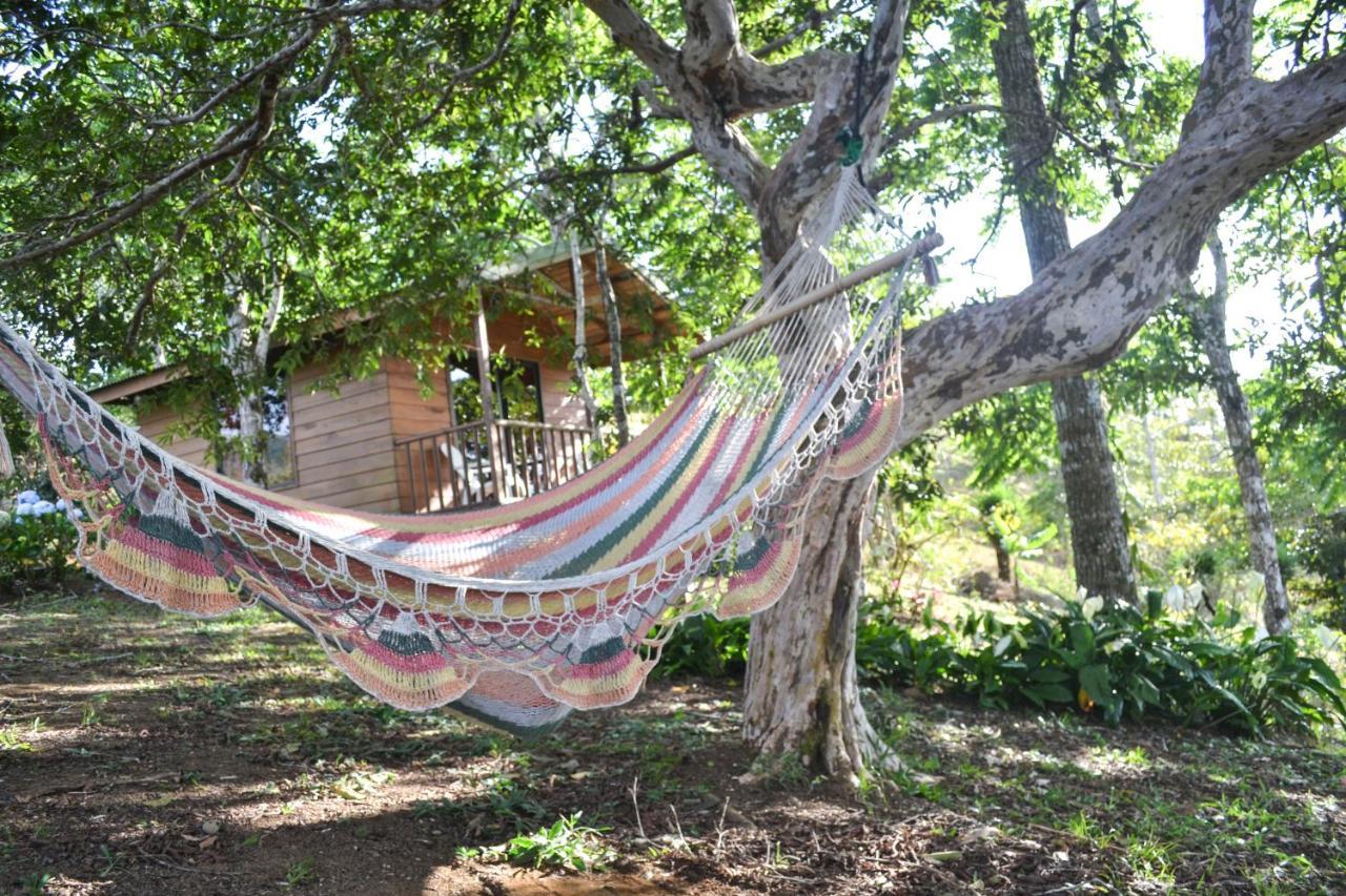 Eco Granja Don Lolo Βίλα Quesada  Εξωτερικό φωτογραφία