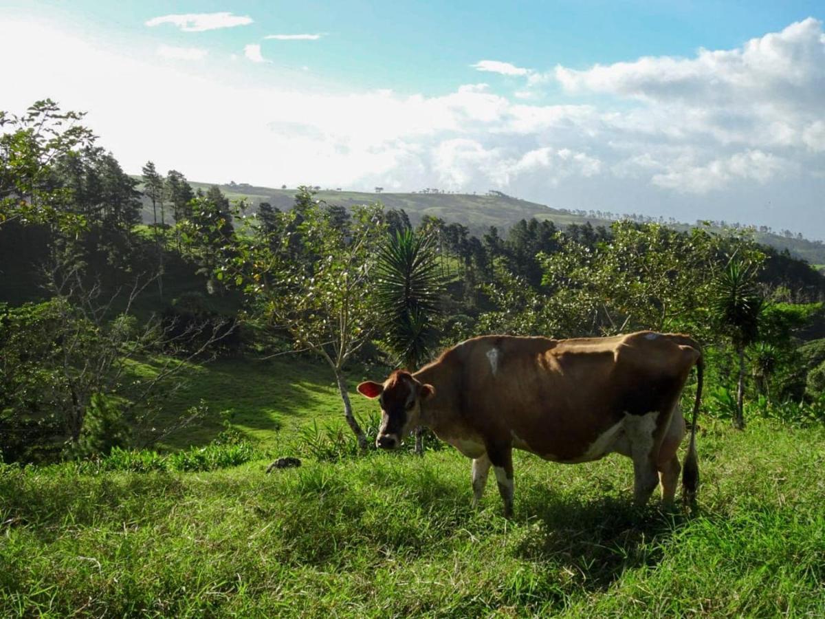 Eco Granja Don Lolo Βίλα Quesada  Εξωτερικό φωτογραφία
