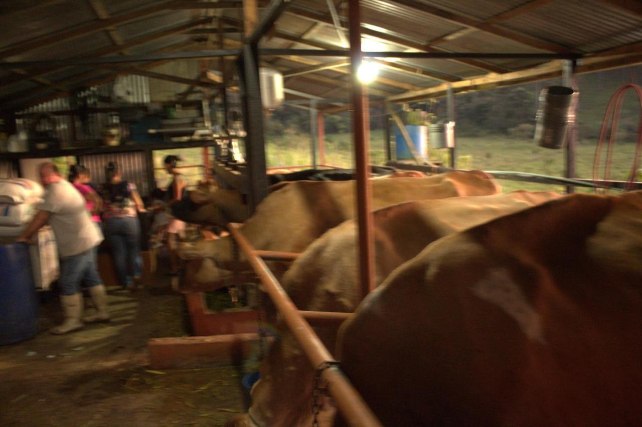 Eco Granja Don Lolo Βίλα Quesada  Εξωτερικό φωτογραφία