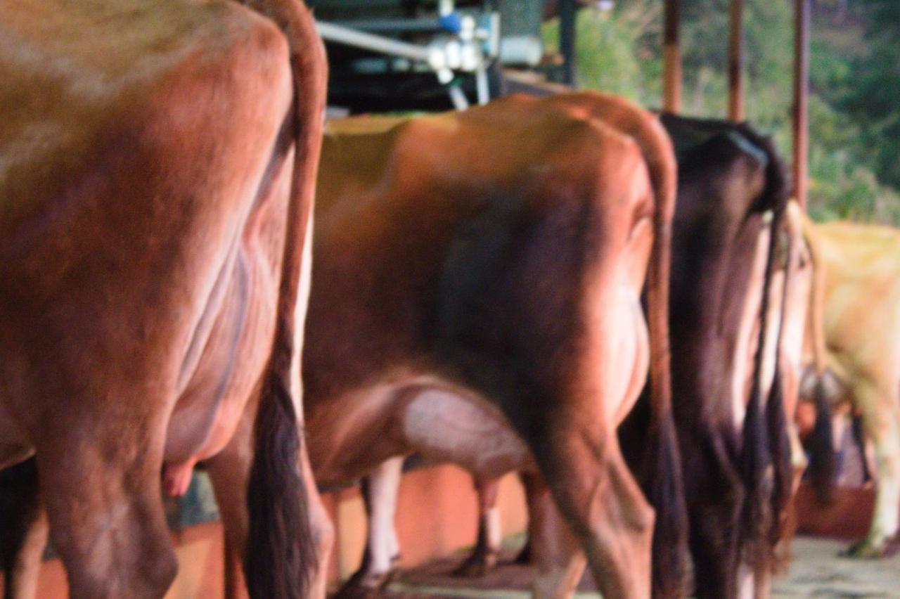 Eco Granja Don Lolo Βίλα Quesada  Εξωτερικό φωτογραφία